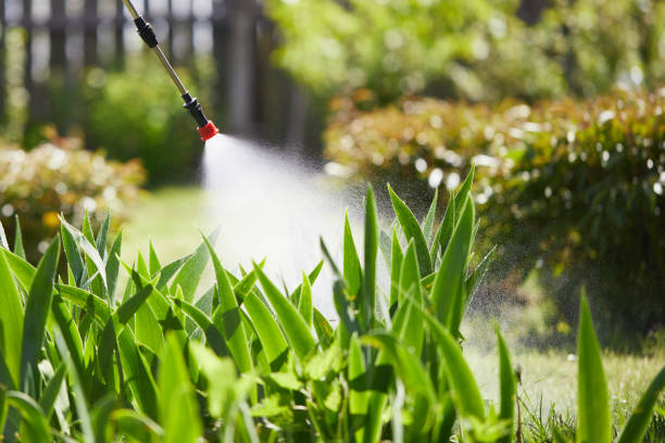 24/7 Emergency Cockroach Control experts in Bartlesville, OK